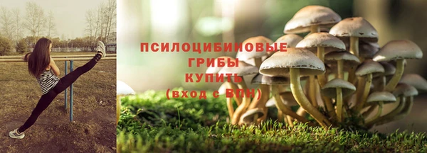 хмурый Козловка