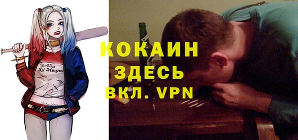 хмурый Козловка